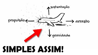 COMO O AVIÃO VOA Explicado em 3 MINUTOS [upl. by Emelun762]