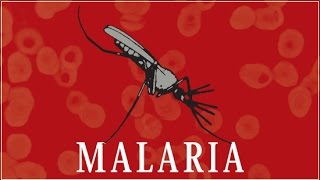 Malaria [upl. by Dott]