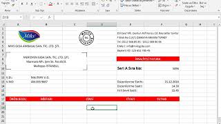 16 proforma fatura örneği [upl. by Ierdna]