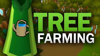 Complete Tree Farming Guide for OSRS [upl. by Hawley]