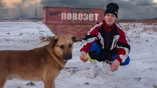 NILETTO  Повезёт mood video 12 [upl. by Eneroc]