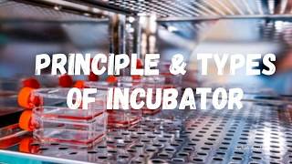 How to Start an Institutional Incubation Centre [upl. by Larson767]