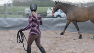 How to lunge a horse  Rideaway [upl. by Enoj]