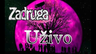 zadruga 5 uzivo [upl. by Adleme945]