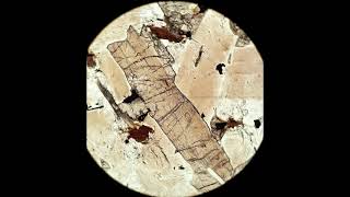 Orthopyroxene tutorial Optical mineralogy [upl. by Eed938]