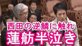 【面白国会中継】西田昌司が半泣き蓮舫を献金疑惑で容赦なく追及！ガチギレした男の逆鱗に触れる！【アパッチのおたけび】 [upl. by Ahteral]