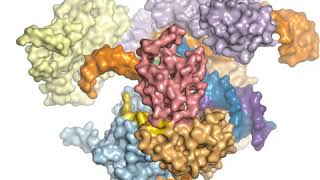 CRISPRCAS9  General Mechanism [upl. by Rogergcam]