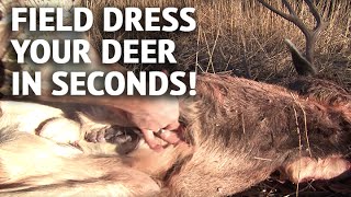 How to Field Dress a Deer In Seconds [upl. by Eerb637]