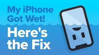 My iPhone Got Wet How To Fix iPhone Water Damage [upl. by Ioab414]