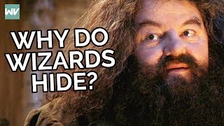 Why Wizards Hide From Muggles In Harry Potter [upl. by Suki]