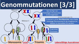 Genommutationen 33  Polyplodie Aneuploidie autosomale  gonosomale Genommutationen Genetik [upl. by Raphael58]