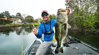 Hunting Down GIANT Florida Bass [upl. by Willow]