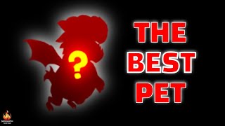 Castle Clash Best Hero Pet [upl. by Dulla]