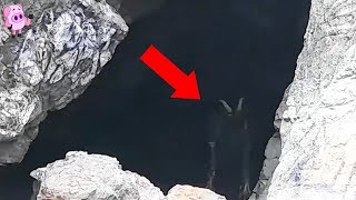 10 Mysterious Creatures Caught on Camera [upl. by Eelyek]