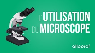 Lutilisation du microscope  Sciences  Alloprof [upl. by Nehpets447]