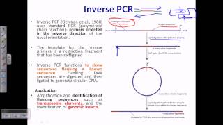 Inverse PCR [upl. by Eelyam396]