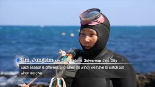 Culture of Jeju Haenyeo women divers [upl. by Eelrac150]