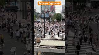 Shibuya Crossing [upl. by Jammin]