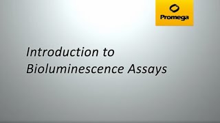 Introduction to Bioluminescent Assays [upl. by Vada536]