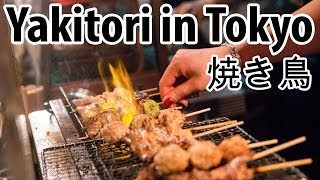 Eating Japanese Yakitori on Tokyos Memory Lane Piss Alley [upl. by Htes]