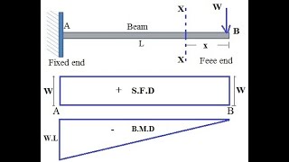 Shear force and Bending moment  Cantilever Beam with Point Load [upl. by Alidus61]