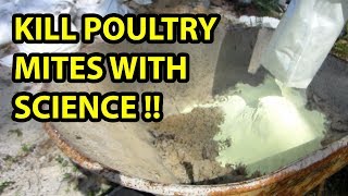 The BEST solution for poultry mites [upl. by Maxama991]