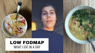 I Did the Low FODMAP Diet for 3 Months for Extreme Bloating amp Gas The Results were SHOCKING [upl. by Nnyled]