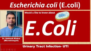 Urinary Tract InfectionEColi [upl. by Euqnimod]