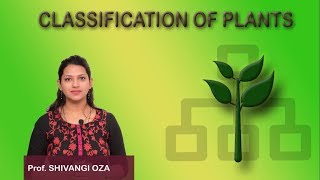 CLASSIFICATION OF PLANT [upl. by Reeva823]