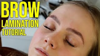 HD Brow Lamination Step By Step Tutorial Big Brows [upl. by Akcemat532]