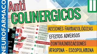 Antimuscarínicos EFECTOS SISTÉMICOS ACCIÓN FARMACOLÓGICA Naturales ATROPINA ESCOPOLAMINA Parte2 [upl. by Caryl695]