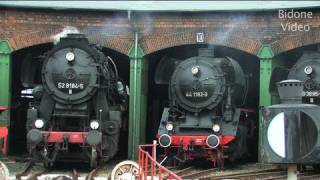 EisenbahnFest Staßfurt 12  Steam Train  Züge [upl. by Hansen]