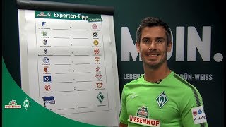 WIESENHOF Werder ExpertenTipp 3 Spieltag 1718 [upl. by Melva]