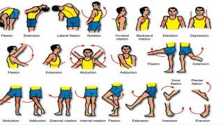 osteokinematics amp JOINT MOVEMENTS [upl. by Munro]