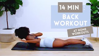 14 MINUTE BACK WORKOUT FOR STRONGER BACK  BETTER POSTURE  NO EQUIPMENT  BEGINNER  INTERMEDIATE [upl. by Aikyt450]