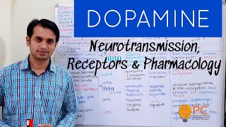 Dopamine Neurotransmission Receptors and Pharmacology  Dopamine Receptor Pharmacology [upl. by Nnaeirrac508]