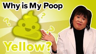 Why Is My Poop Yellow [upl. by Dyrraj]