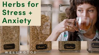 Common and Accessible Herbs for Stress and Anxiety  PlantBased  WellGood [upl. by Lleral808]