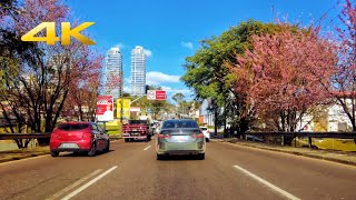 Curitiba PR  4K BRASIL [upl. by Weed829]