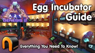 ARK Egg Incubator Guide And How To Use It ARK [upl. by Reichert]