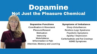 Demystifying Neurotransmitters Serotonin Dopamine and Beyond [upl. by Amlet]