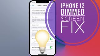 How To Fix iPhone 12 Dimmed Screen Low Brightness Dark Display [upl. by Ilocin]