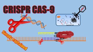 3 CRISPR Cas9  gRNA Design [upl. by Ertnod416]