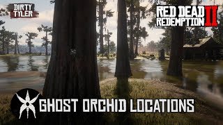 All Ghost Orchid Locations in Red Dead Redemption 2  RDR2 [upl. by Placida]