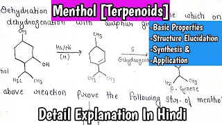 Menthol TerpenoidsNatural Product Organic Chemistry Structure ElucidationSynthesis ampApplication [upl. by Namor]