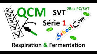 QCM  SVTSérie 1 2bac PC  2bac SVT Unité 1Chapitre 1 Respiration amp Fermentation [upl. by Anaibib338]