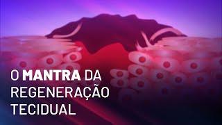 O mantra da regeneração tecidual [upl. by Remde825]