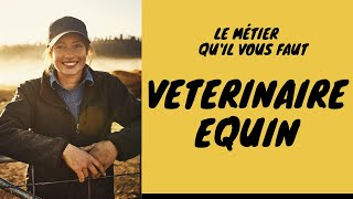 Vétérinaire Equin [upl. by Clothilde]