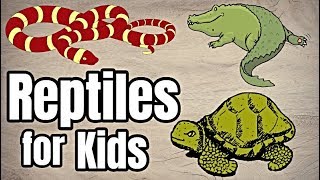 Reptiles For Kids [upl. by Atteuqahs]