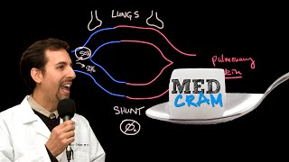 Shunting Explained Clearly Pulmonary Shunt [upl. by Eram]